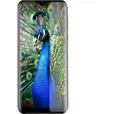 Kzy Reeder P13 Blue Temperli Ekran Koruyucu Kırılmaz Cam Ekonomik 5'li Paket