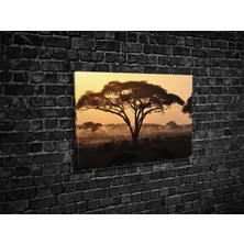 Tablo 360 Savana Kanvas Tablo