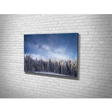 Tablo 360 Kış Ormanı Kanvas Tablo