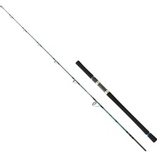 Daiwa Grandwave 1.68M 90-210 gr 2p Jig Olta Kamışı