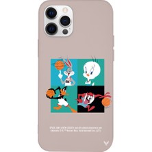 Deercase Apple iPhone 12 Pro Max Pembe Renkli Silikon Space Team Telefon Kılıfı