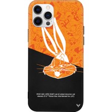 Deercase Apple iPhone 12 Pro Max Siyah Renkli Silikon Bugsy Telefon Kılıfı