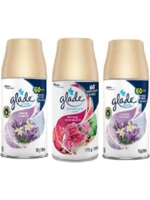 Glade Oda Kokusu Yedek Sprey Lavanta Ferahlığı + Meyve & Çiçek Buketi Yedek 3 x 269 ml
