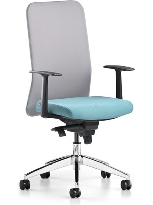 Bürotime Comfy Çalışma Koltuğu | Sabit Kol | Alüminyum Ayak | Gri/mint Yeşili