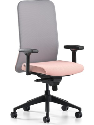 Bürotime Comfy Çalışma Koltuğu | 3D Kol | Plastik Ayak | Gri/somon