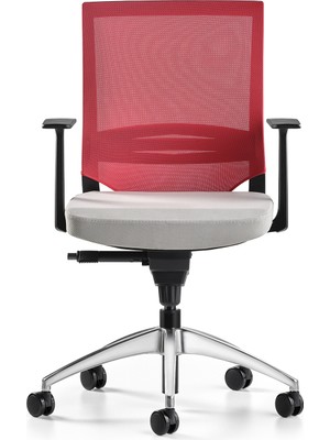 Bürotime Cozy Çalışma Koltuğu - Sabit T Kol - Alüminyum Ayak - Açık Gri/kırmızı