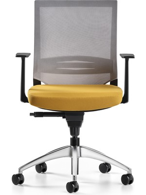 Bürotime Cozy Çalışma Koltuğu - Sabit T Kol - Alüminyum Ayak - Sarı/gri