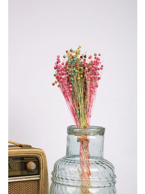 Mini Hediye Şoklanmış Doğal Kuru Çiçek Karışık Keten Otu Demeti 30-40 cm