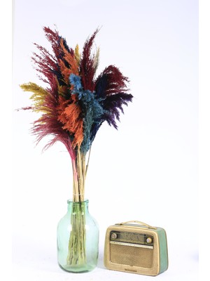 Mini Hediye Pampas, Şoklanmış Dekoratif 15'li Karışık Kuru Çiçek Pampas 100 cm