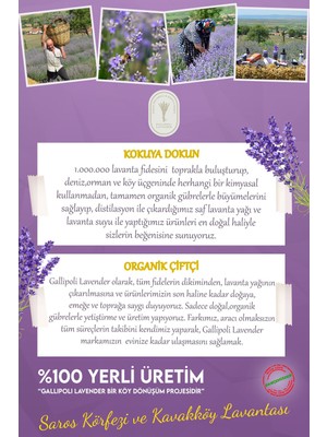 Dr. Lavender Kurutulmuş Lavanta Demeti 100 Dal Lavanta Bahçesinden Lavanta Çiçeği