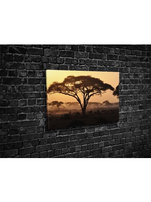 Tablo 360 Savana Kanvas Tablo