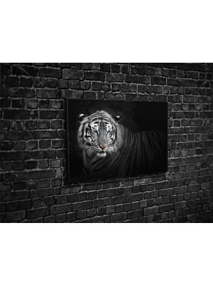 Tablo 360 Kaplan Kanvas Tablo