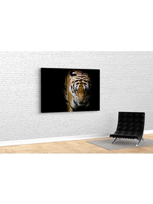 Tablo 360 Kaplan Kanvas Tablo