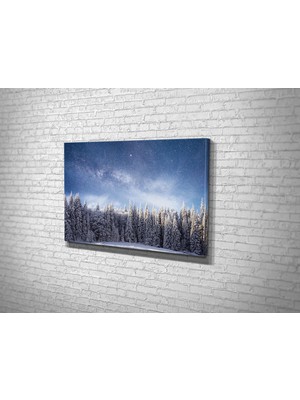 Tablo 360 Kış Ormanı Kanvas Tablo