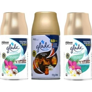 Otomatik Sprey Oda Kokusu Yedek Tropikal Floral + Oryantal Oud 3 x 269 ml