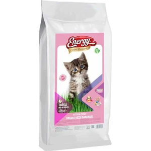 Yavru Kedi Maması Tavuklu 15KG