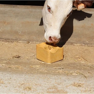 Royal İlaç Expert Block 3 kg 8 Adet