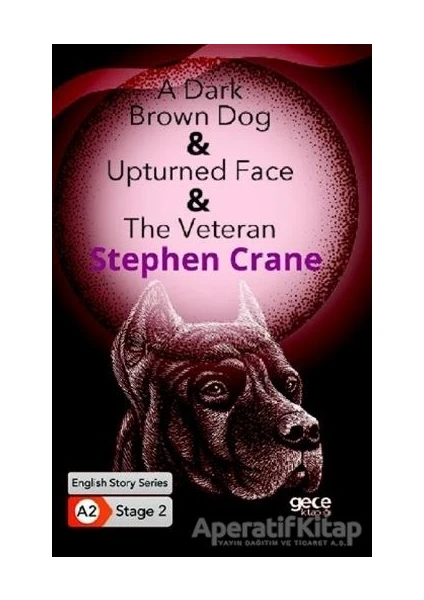 A Dark Brown Dog - Upturned Face - The Veteran - Ingilizce Hikayeler A2 Stage 2