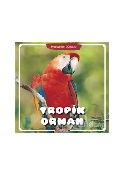 Tropik Orman - Hayvanlar Dünyası - Yumurcak Yayınları