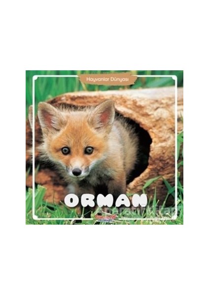 Orman - Hayvanlar Dünyası - Yumurcak Yayınları