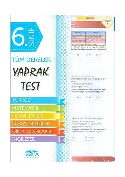 Rota 6.sınıf Tüm Dersler Yaprak Test