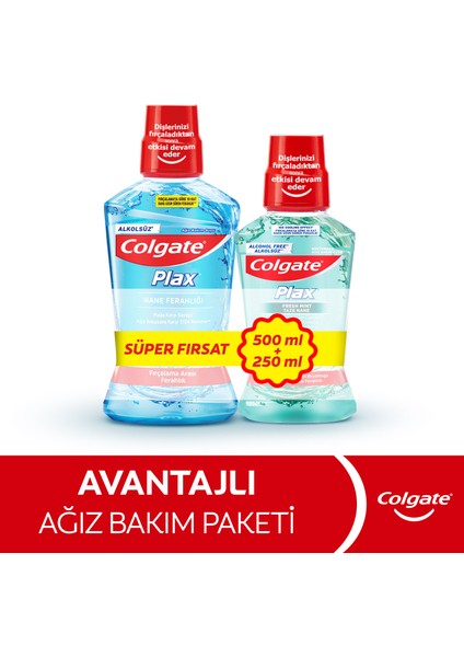 Plax Nane Ferahlığı Plağa Karşı Alkolsüz Ağız Bakım Suyu 500 ml + Plax Taze Nane 250 ml