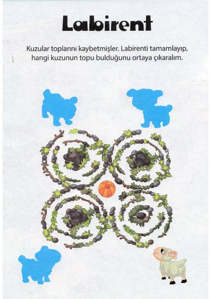 Muhteşem Çıkartmalar ve Aktiviteler Seti 5 Kitap