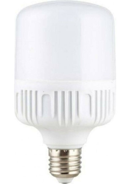 Torch LED Ampul 20W