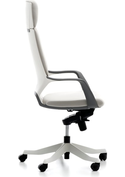 Swan Yönetici Koltuğu Açık Gri modelleri