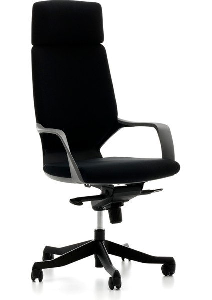 Swan Yönetici Koltuğu Oturum Siyah fiyatları