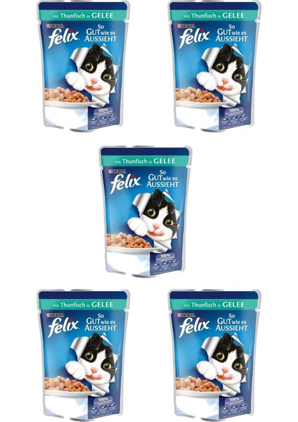 Vestark Felix Ton Balıklı Yetişkin Kedi Konservesi 100 gr x 5