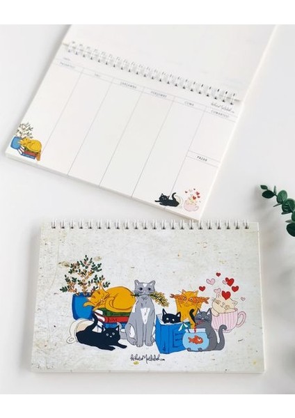 Kediler Haftalık Planlayıcı