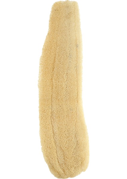 Kabak Lifi 60-70 cm