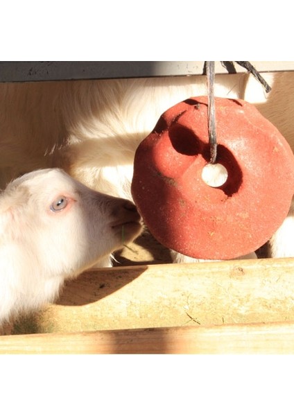 Selco Block 20 kg