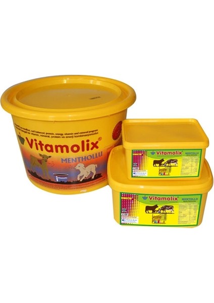 Royal İlaç Vitamolix Menthollü 3 kg