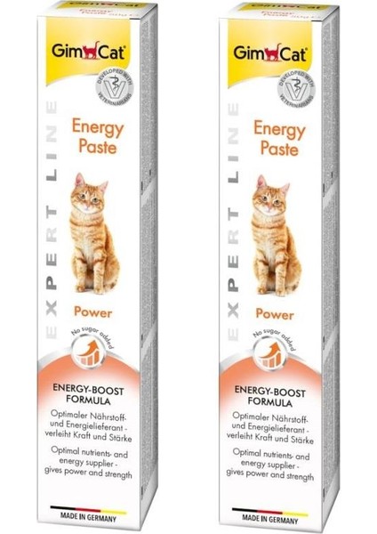 2 Adet Energy Paste Kedi Macun 50 gr ARDA005