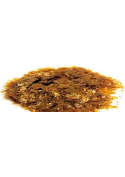 Gomalak Cila Ahşap Cilası 100 gr