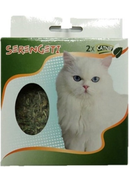 Catnip Otu Kutulu