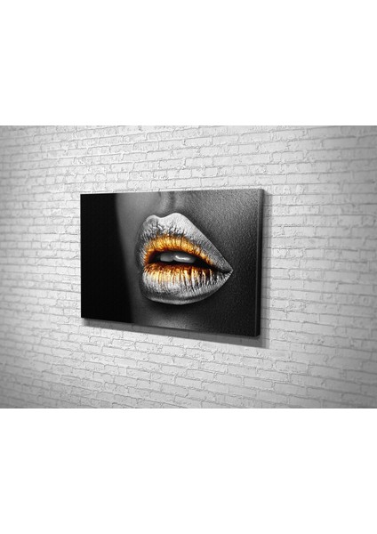Gümüş Dudak Kanvas Tablo