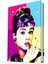 Pop Art Audrey Hepburn Defter 1