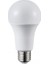 CT-4277 9W LED AMPUL (BEYAZ) CATA 1