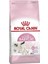 Babycat 34 Yavru Kuru Kedi Maması 2 kg 1