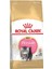 Feline Kitten Persian Kuru Kedi Maması 2 kg 1