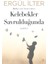 Kelebekler Savrulduğunda - Ergül Ilter 1