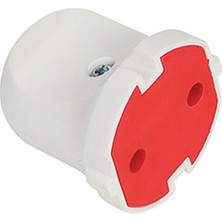 Mutlusan Topraksız Dişi Fiş