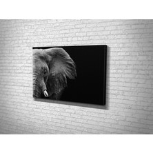 Tablo 360 Fil  Kanvas Tablo