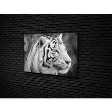 Tablo 360  Tiger Kanvas Tablo
