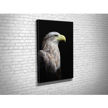 Tablo 360 Kartal Kanvas Tablo