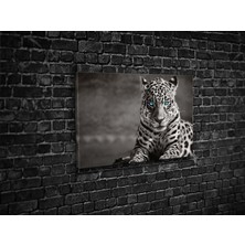 Tablo 360 Leopar Kanvas Tablo