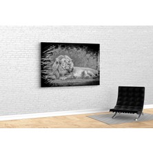 Tablo 360 Aslan Kanvas Tablo